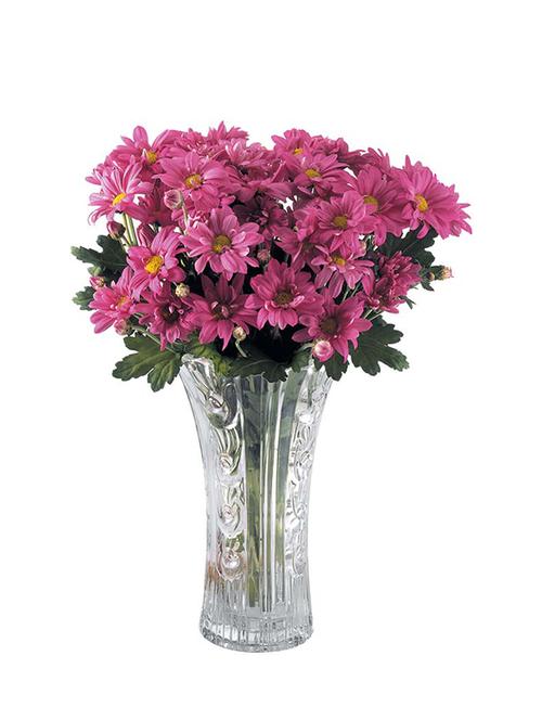 delicate transparent flower vase - 1016329 - Very Small Image - 1