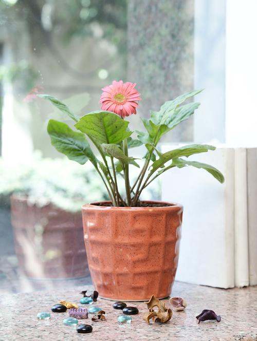 unravel india hand made stoneware planter - 10303256 - Very Small Image - 1