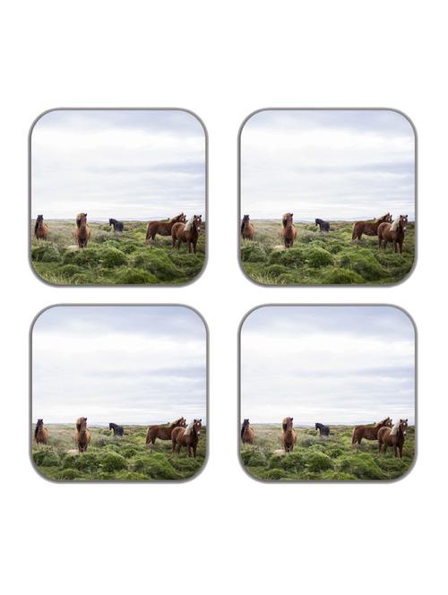 horses refrigerator magnets-set of 4 - 10505363 - Very Small Image - 1