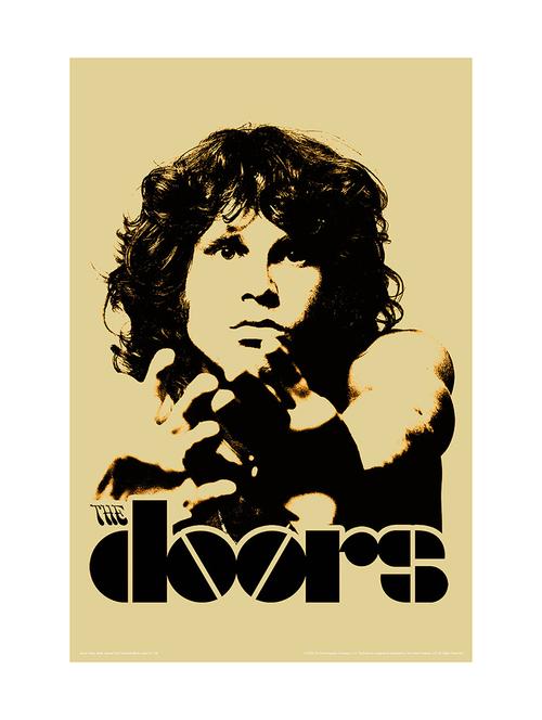 jim morrison - the doors poster - 11028732 - Very Small Image - 1