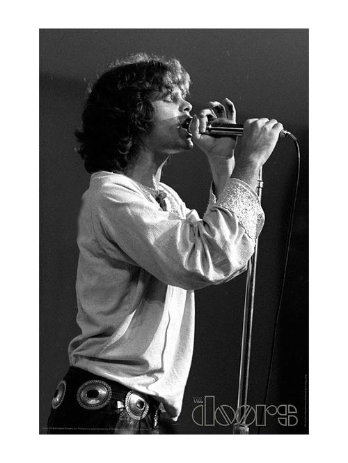 jim morrision performing 2 poster - 11028738 - Very Small Image - 1
