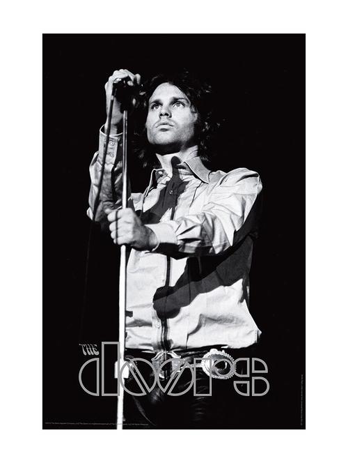 jim morrison on stage poster - 11028756 - Very Small Image - 1
