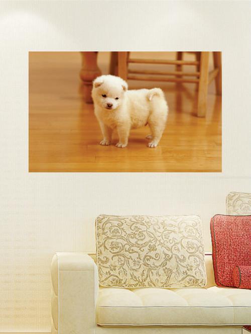 small cute dog poster - 11551493 - Very Small Image - 1