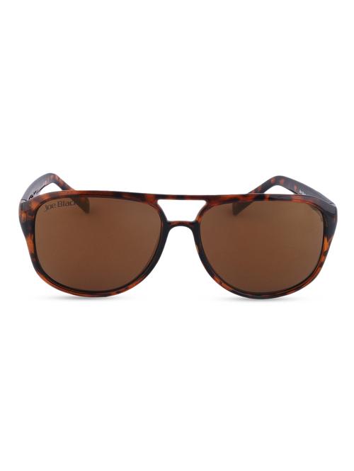animal print frame sunglasses - 1164831 - Very Small Image - 1
