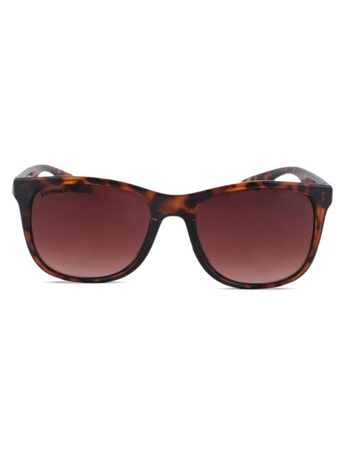 animal print frame wayfarer - 1164833 - Very Small Image - 1