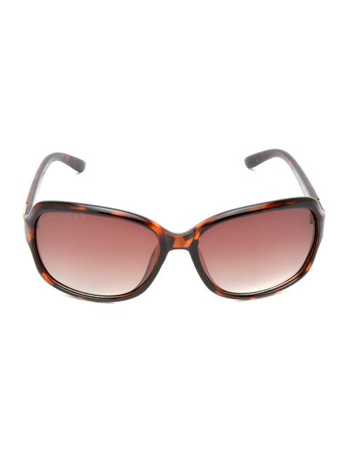 joe black brown oversized sunglasses ( jb-819-c2p ) - 12251525 - Very Small Image - 1