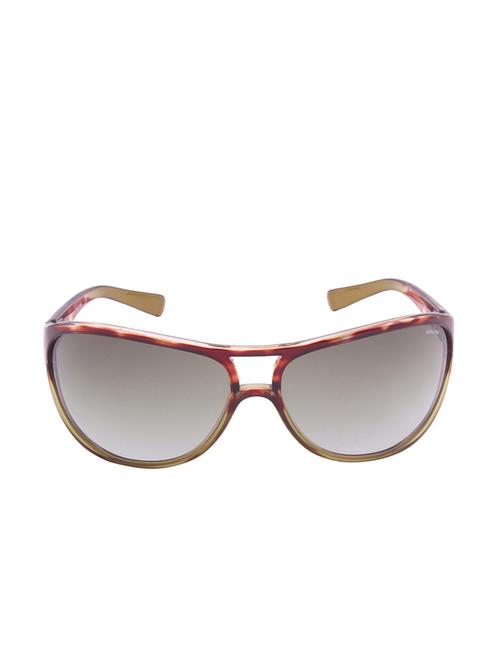 brown plastic wrap around men sunglass - 12442267 - Very Small Image - 1