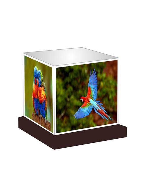 sweet kikatoo night lamp - 12503667 - Very Small Image - 1