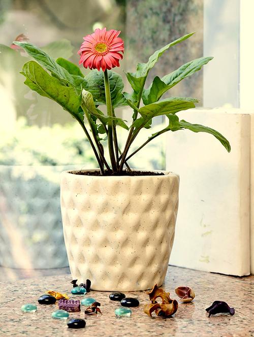 unravel india hand crafted studio pottery stoneware planter (1 piece) - 12526207 - Very Small Image - 1