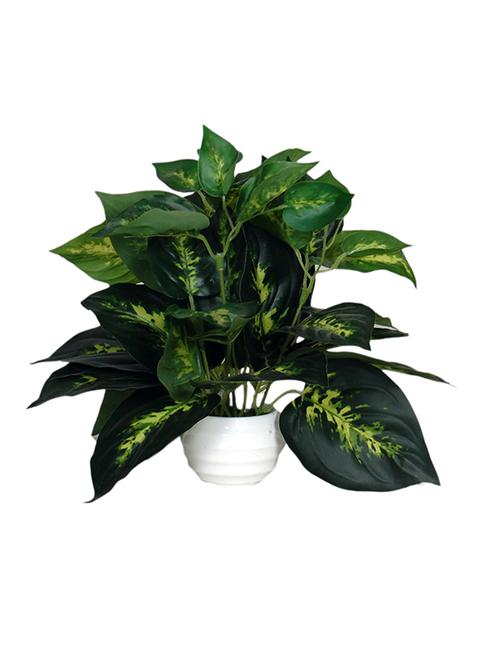 loxiaa green wild artificial flower with pot (18cm) - 12854394 - Very Small Image - 1