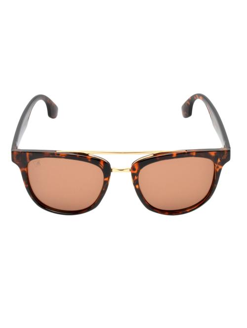 mtv-141-c4 brown wayfarer sunglasses - 12889288 - Very Small Image - 1