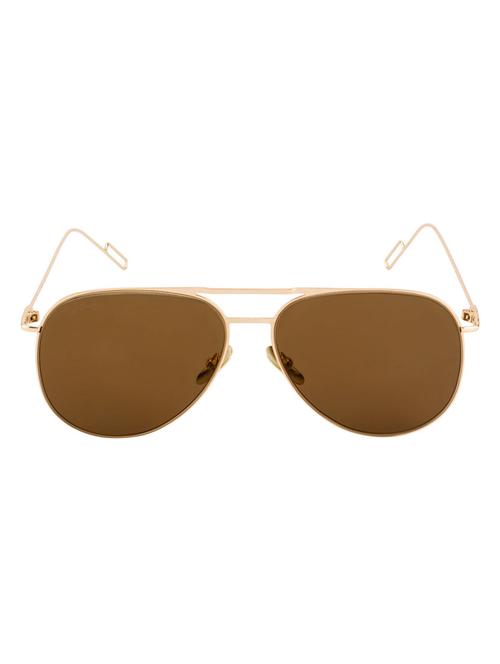ted smith aviator unisex sunglasses (ts-875/s_gld/brn) - 13196305 - Very Small Image - 1