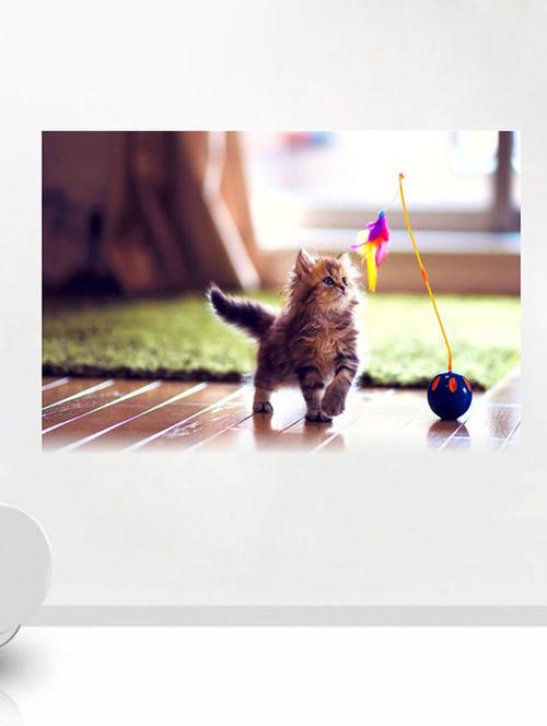impression wall cat sticker - 13339121 - Very Small Image - 1