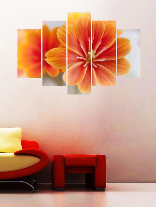 impression wall orange lewisia wall sticker - 13427125 - Very Small Image - 1
