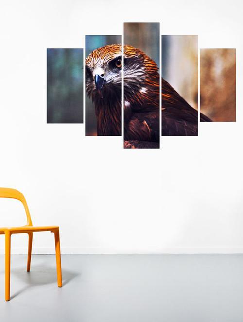 impression wall eagle wall sticker - 13427256 - Very Small Image - 1