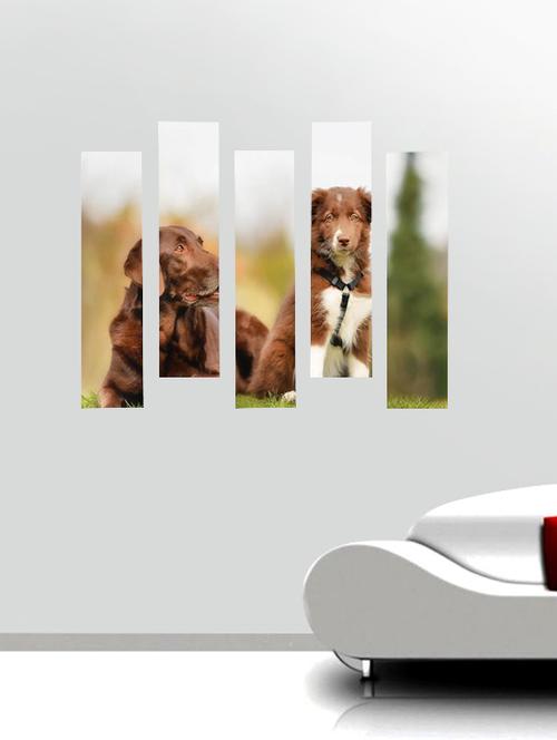 impression wall dogs wall sticker - 13654217 - Very Small Image - 1