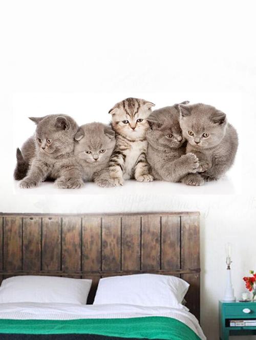 impression wall cute cats wall sticker - 13654523 - Very Small Image - 1