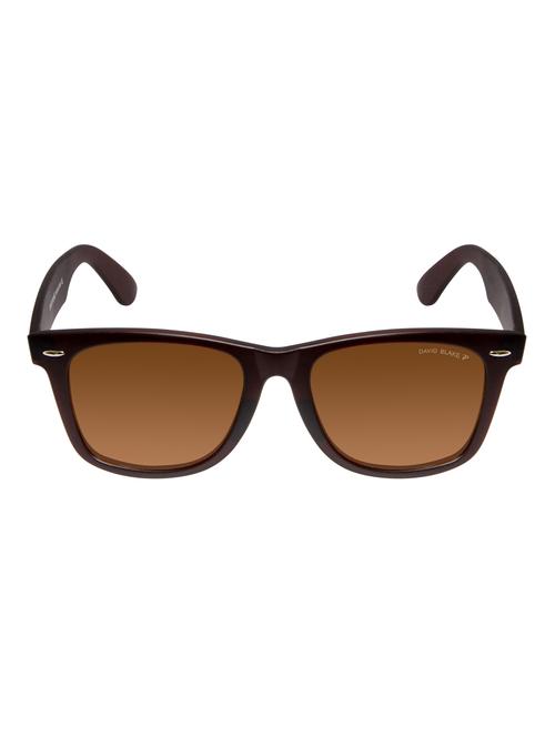 david blake brown wayfarer polarized uv protected sunglass - 13934336 - Very Small Image - 1