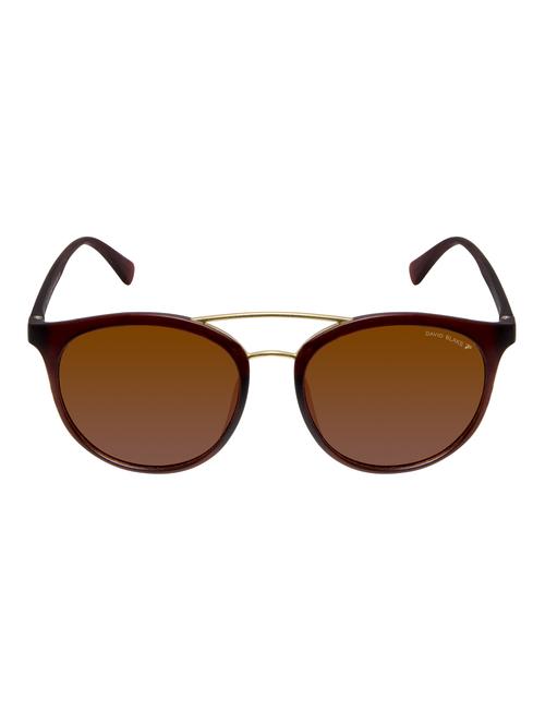 david blake brown round polarized uv protected sunglass - 13934372 - Very Small Image - 1