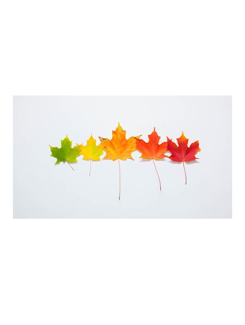 the print cart paper fall gradient painting - 13972695 - Very Small Image - 1