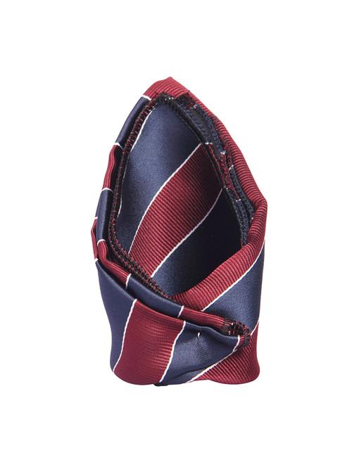 blue polyester pocketsquare - 13993632 - Very Small Image - 1
