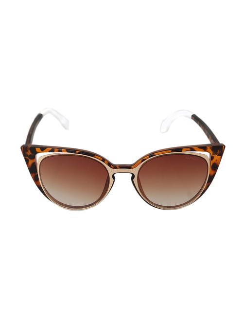 alvaro castagnino brown coloured cateye sunglass - 14107452 - Very Small Image - 1