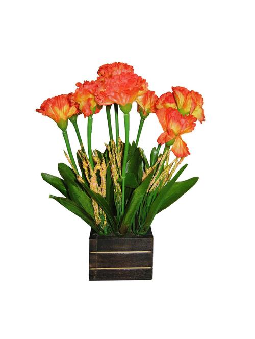orange carnation flowers with pot - 14167805 - Very Small Image - 1