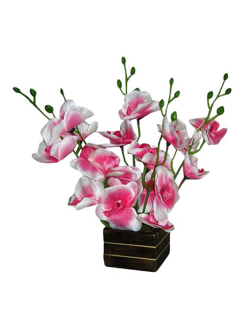 loxiaa pink orchid flower with pot - 14167806 - Very Small Image - 1