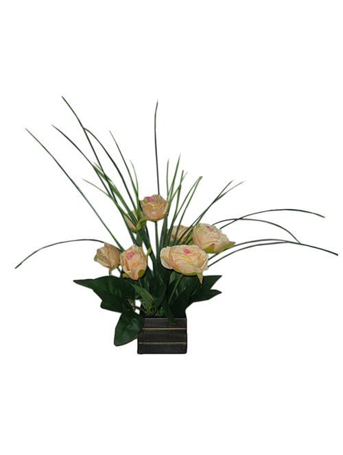 loxiaa peach rose with pot - 14382947 - Very Small Image - 1