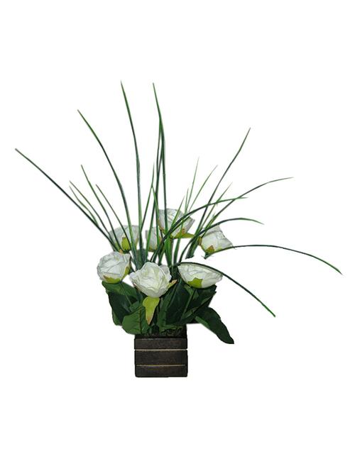 loxiaa white color rose with pot - 14382948 - Very Small Image - 1