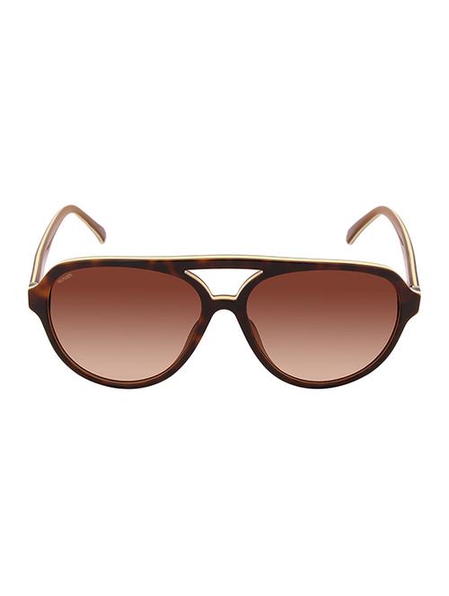 tommy hilfiger gradient aviator men's sunglasses - (7952 hav/brn c2 59 s|59|brown color)nglasses - 14444609 - Very Small Image - 1