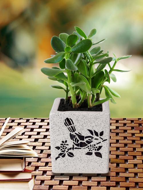 handcrafted off-white ceramic planter pot - 15325693 - Very Small Image - 1