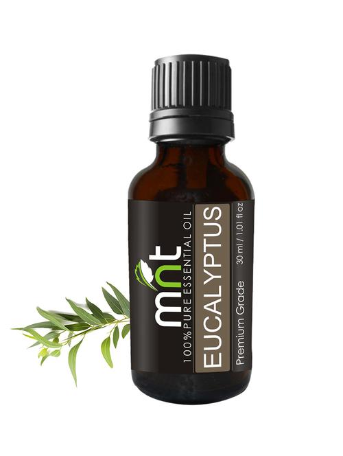 mnt eucalyptus essential oil (30ml) 100% pure,natural & undiluted therapeutic grade & aromatherapy - 15336457 - Very Small Image - 1