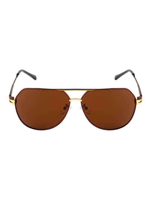 ted smith unisex aviator sunglasses (ts-p0965_brn) - 15431555 - Very Small Image - 1