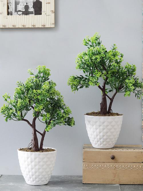 artificial plants with pot combo of 2 twin trunked bonsai trees with green leaves and green flowers - 15640299 - Very Small Image - 1