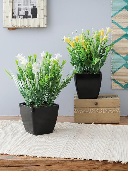 combo of 2 plants for home d?cor and living room| plant with white buds and white yellow flowers - 15640333 - Very Small Image - 1