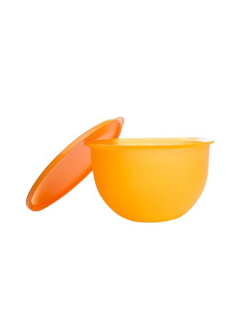 expression bowl -4.3l - 15640678 - Very Small Image - 1