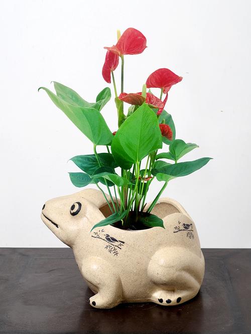 decorative planter - 15653089 - Very Small Image - 1