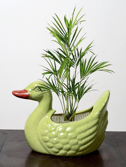 decorative planter - 15653095 - Very Small Image - 1