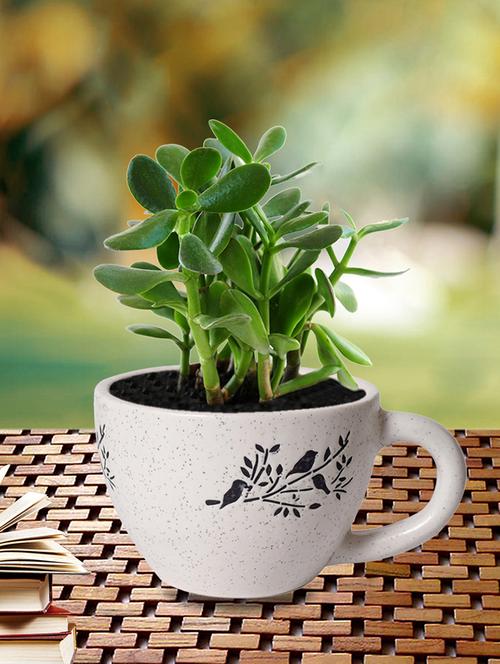 decorative planter - 15653100 - Very Small Image - 1