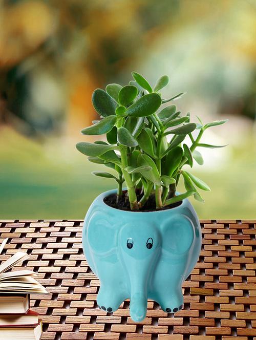decorative planter - 15653101 - Very Small Image - 1