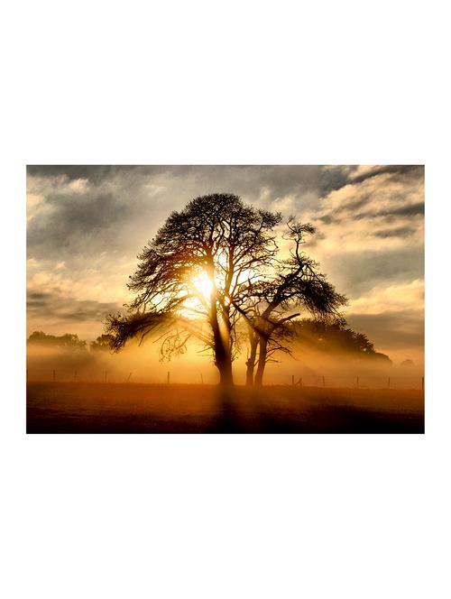 rawpockets"tree_saviour for human"wall posters (paperboard,33cmx48cm) - 15732884 - Very Small Image - 1