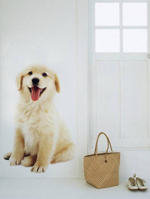 rawpockets wall decals ' cute dog ' wall stickers (pvc vinyl) multicolour - 15734102 - Very Small Image - 1