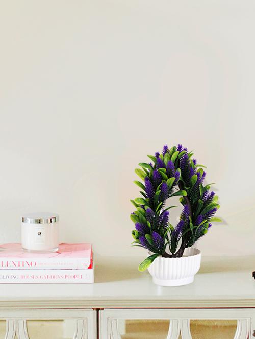 wild plant artificial bonsai - 16232160 - Very Small Image - 1