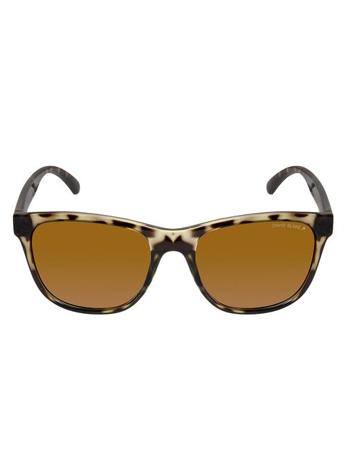 david blake brown wayfarer polarised uv protected sunglass - 16250319 - Very Small Image - 1