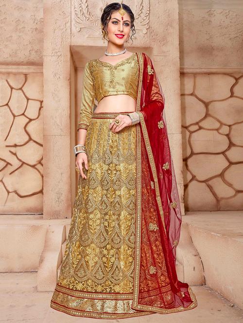 embroidered a-line lehenga - 17205834 - Very Small Image - 1