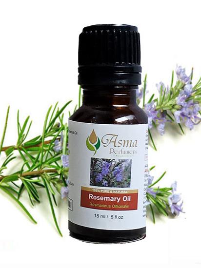 rosemary commonly known as rosmarinus officinalis. - 17968549 - Very Small Image - 1