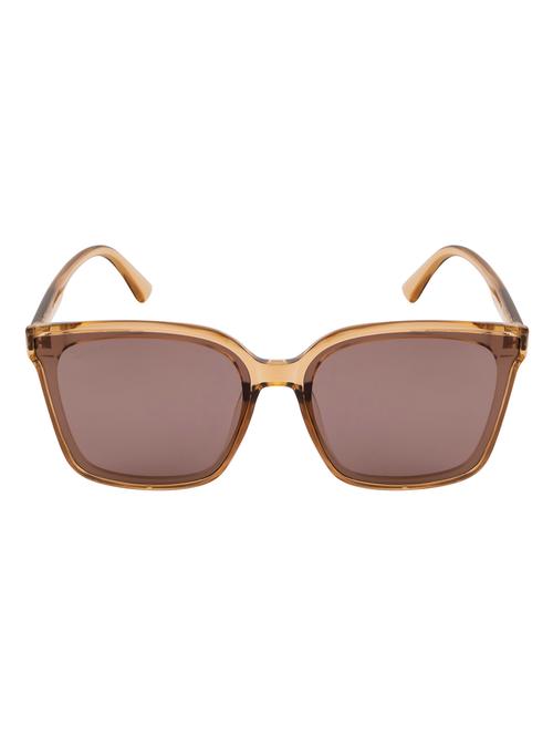 dioxy square in brown sunglasses - 18462444 - Very Small Image - 1