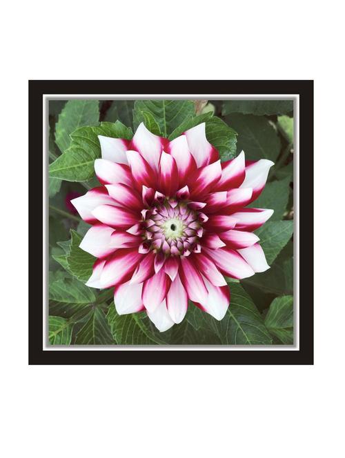 wall decal art prints on mdf board for decor (12x12 inches) unframed & without glass - 18520890 - Very Small Image - 1
