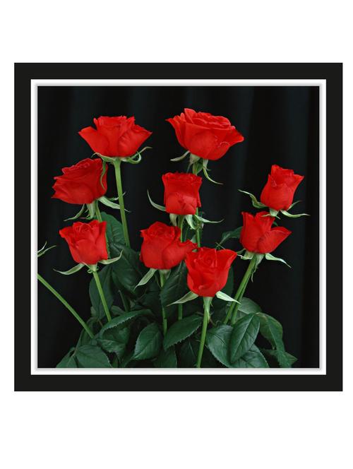 wall decal art prints on mdf board for decor (12x12 inches) unframed & without glass - 18521375 - Very Small Image - 1